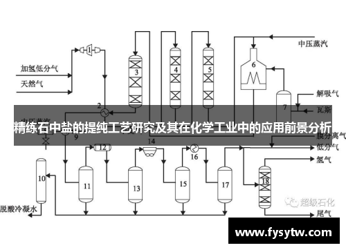 精练石中盐的提纯工艺研究及其在化学工业中的应用前景分析