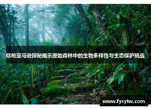 标枪亚马逊探秘揭示原始森林中的生物多样性与生态保护挑战