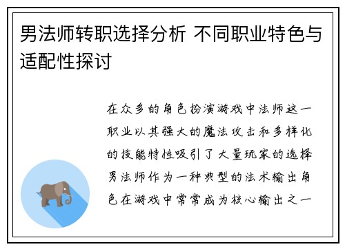男法师转职选择分析 不同职业特色与适配性探讨